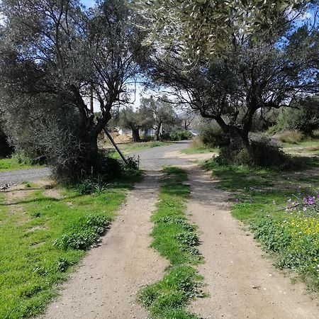 Costasfarmhouse, Pallini, Near Athens Airport Διαμέρισμα Εξωτερικό φωτογραφία