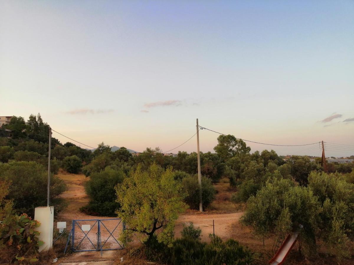 Costasfarmhouse, Pallini, Near Athens Airport Διαμέρισμα Εξωτερικό φωτογραφία