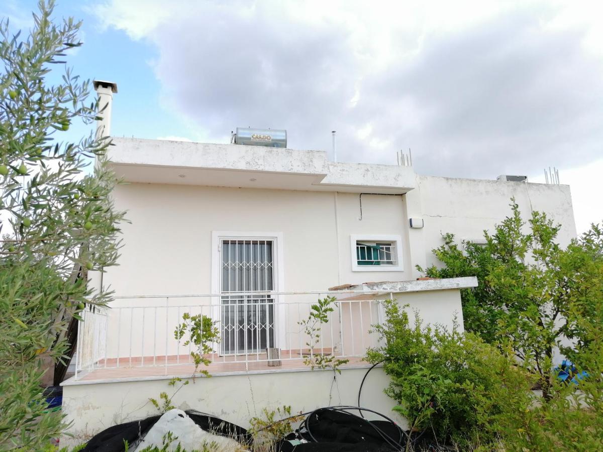 Costasfarmhouse, Pallini, Near Athens Airport Διαμέρισμα Εξωτερικό φωτογραφία