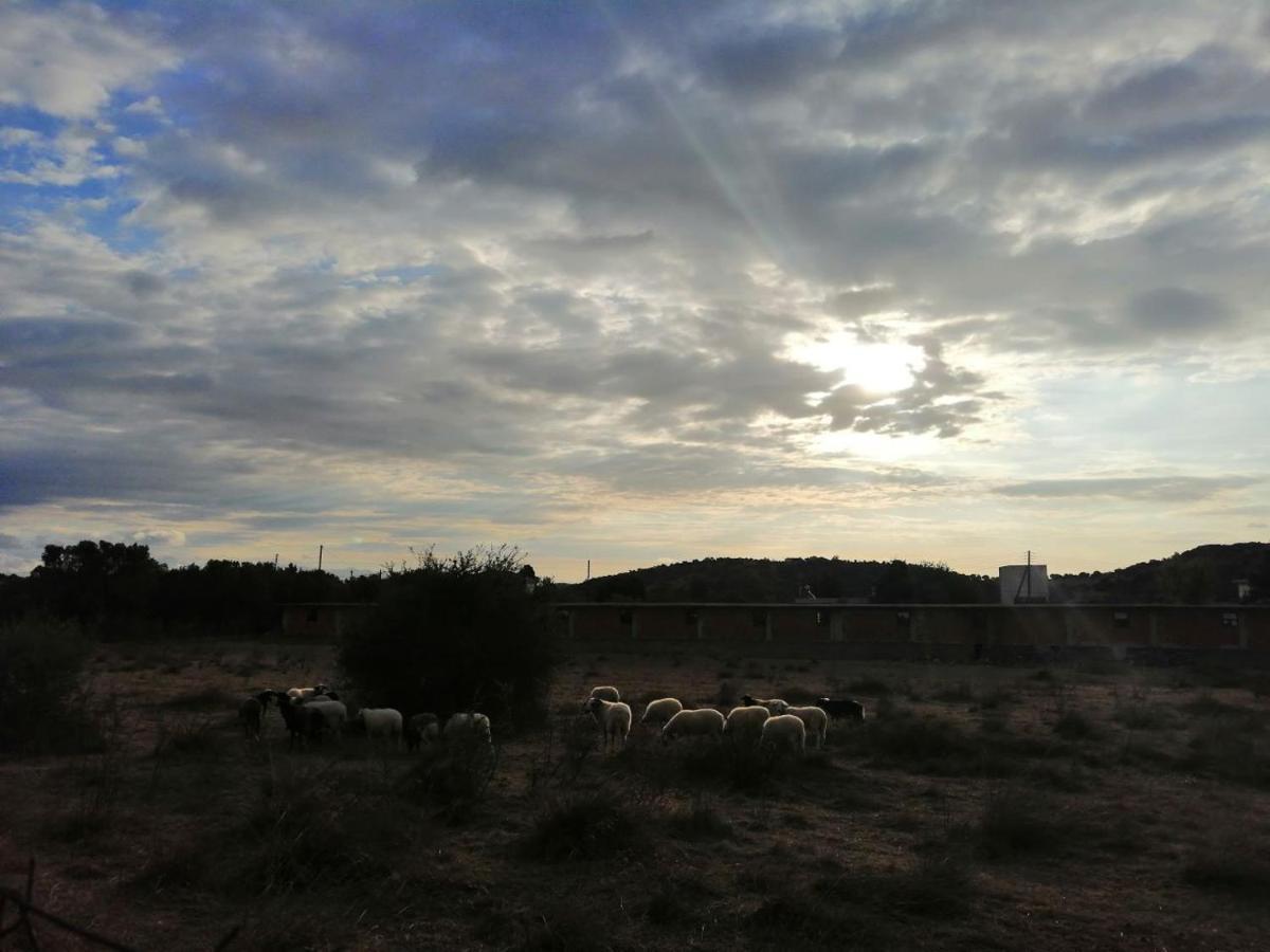 Costasfarmhouse, Pallini, Near Athens Airport Διαμέρισμα Εξωτερικό φωτογραφία