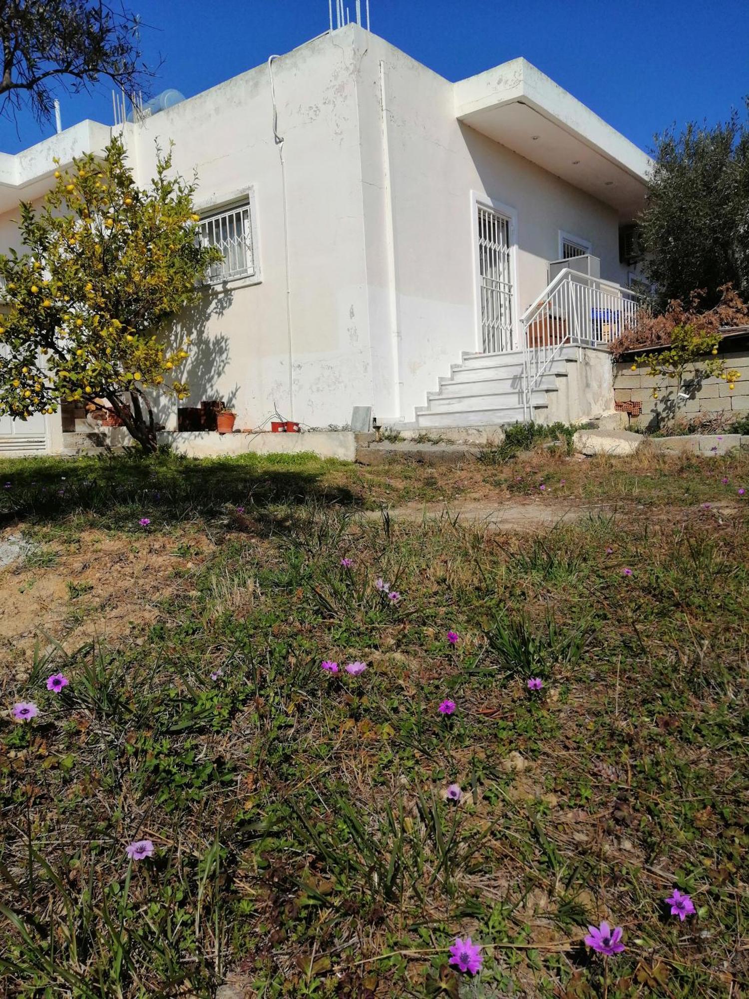 Costasfarmhouse, Pallini, Near Athens Airport Διαμέρισμα Εξωτερικό φωτογραφία