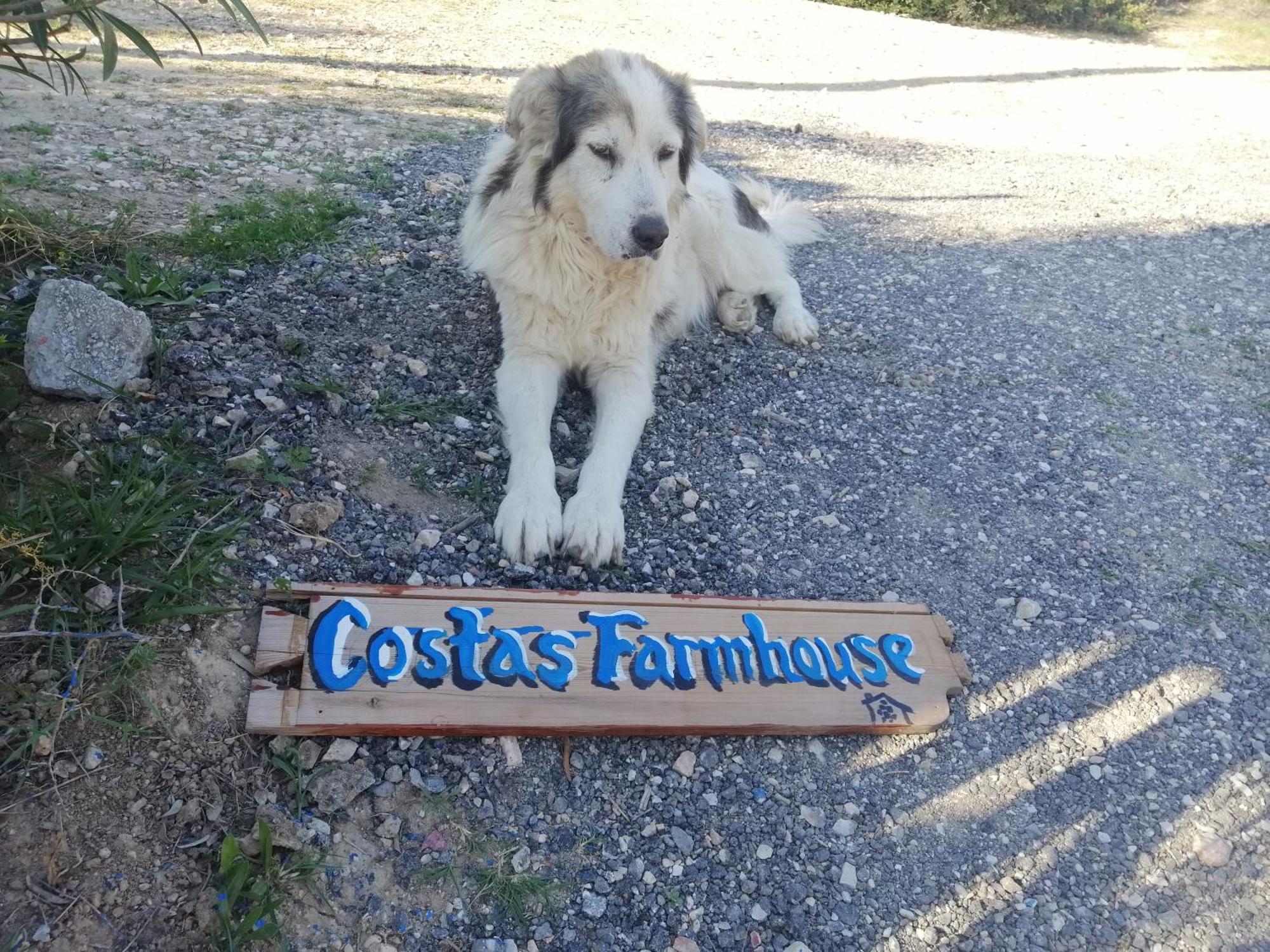 Costasfarmhouse, Pallini, Near Athens Airport Διαμέρισμα Εξωτερικό φωτογραφία