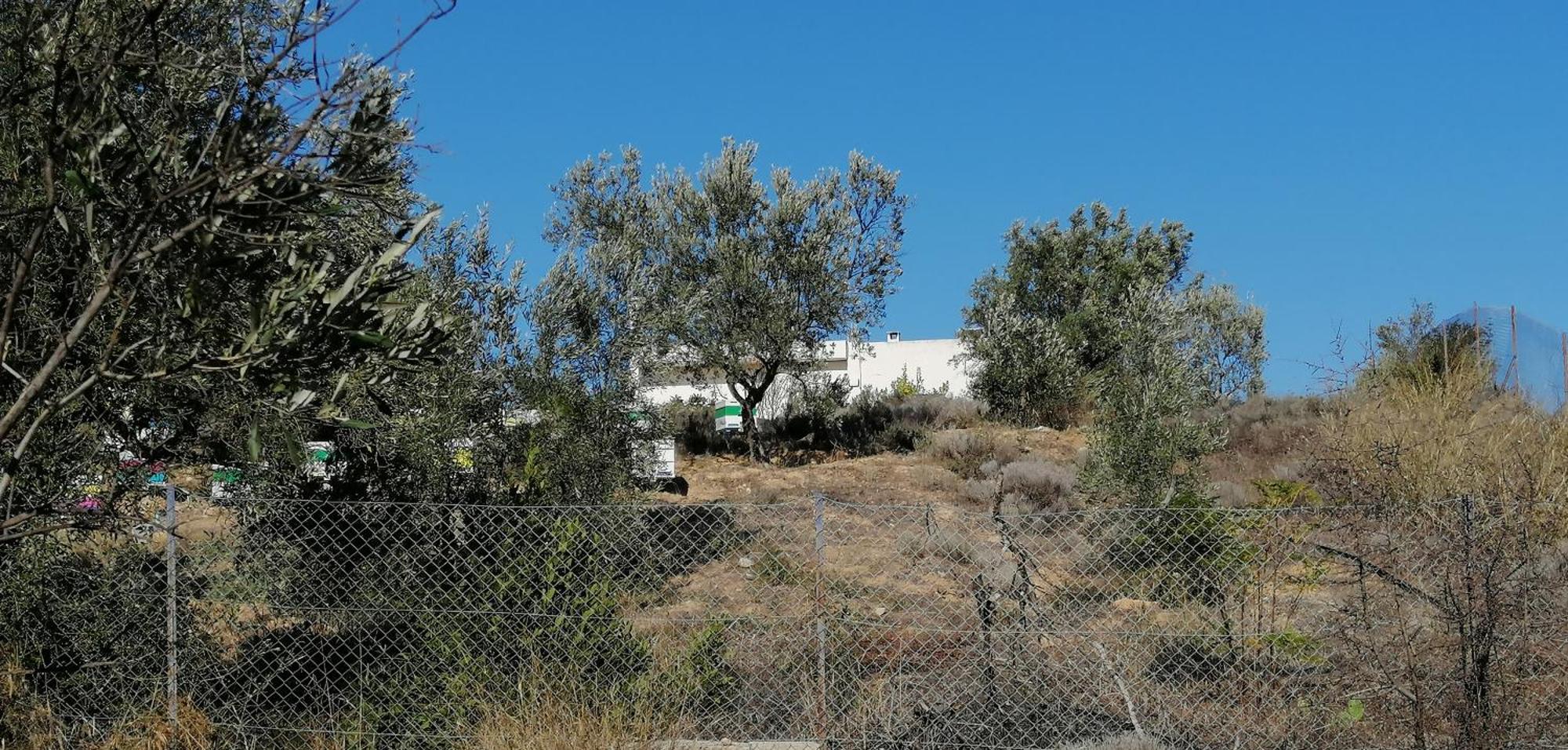 Costasfarmhouse, Pallini, Near Athens Airport Διαμέρισμα Εξωτερικό φωτογραφία