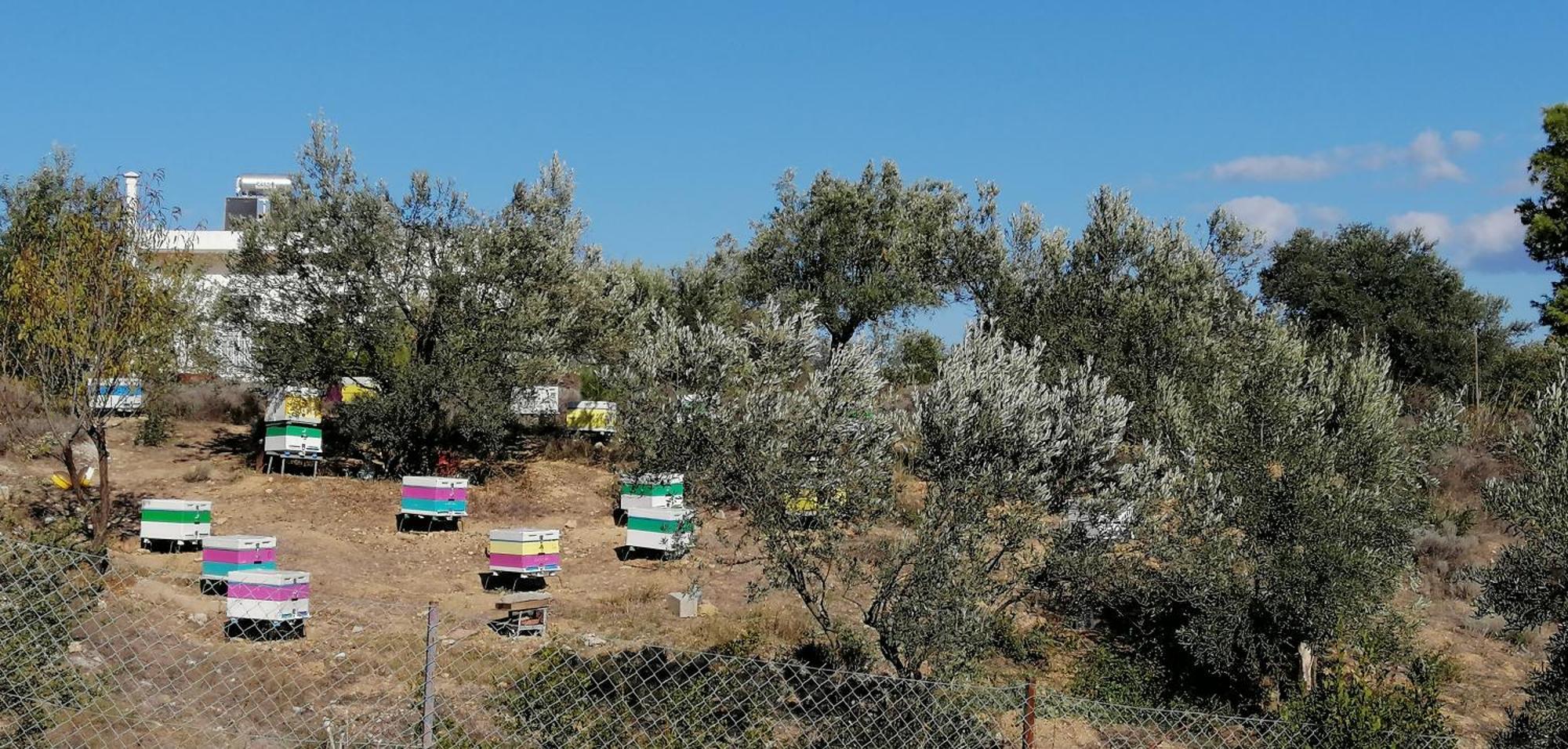 Costasfarmhouse, Pallini, Near Athens Airport Διαμέρισμα Εξωτερικό φωτογραφία