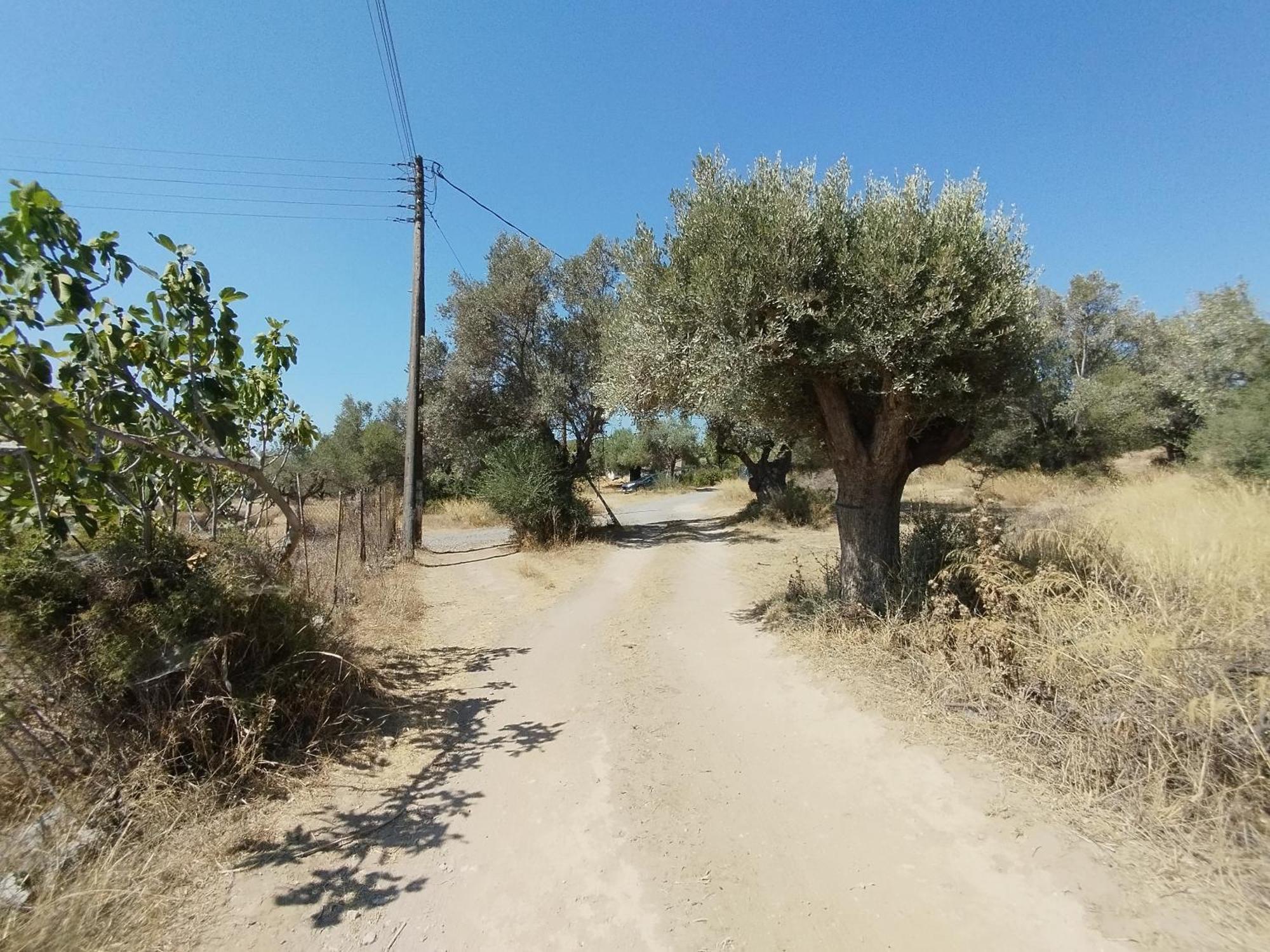 Costasfarmhouse, Pallini, Near Athens Airport Διαμέρισμα Εξωτερικό φωτογραφία