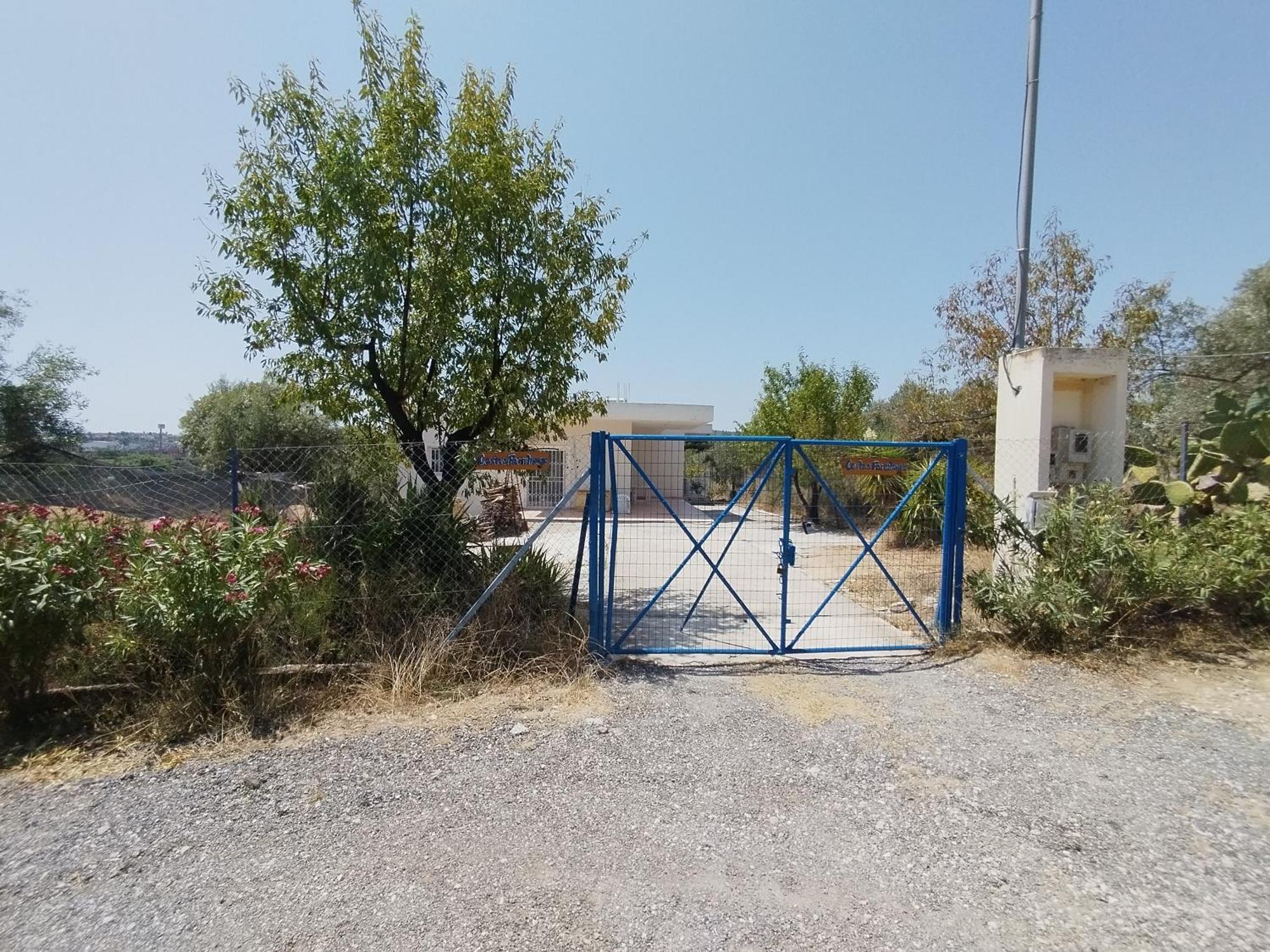Costasfarmhouse, Pallini, Near Athens Airport Διαμέρισμα Εξωτερικό φωτογραφία