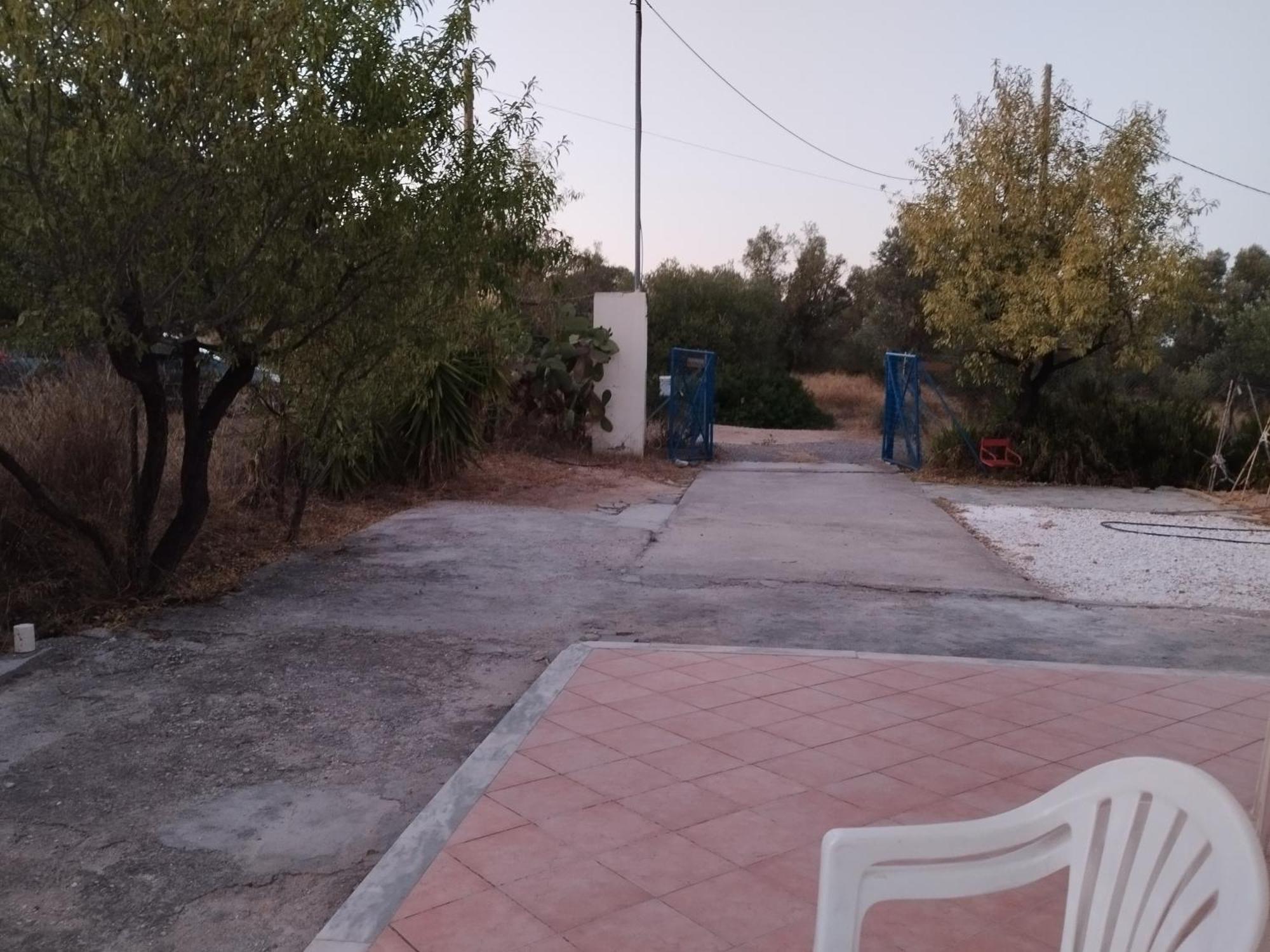 Costasfarmhouse, Pallini, Near Athens Airport Διαμέρισμα Εξωτερικό φωτογραφία